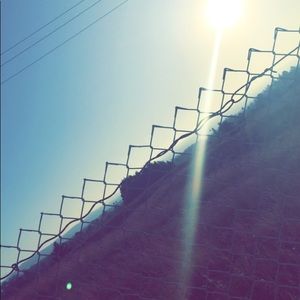 Meet your Posher, Daisy